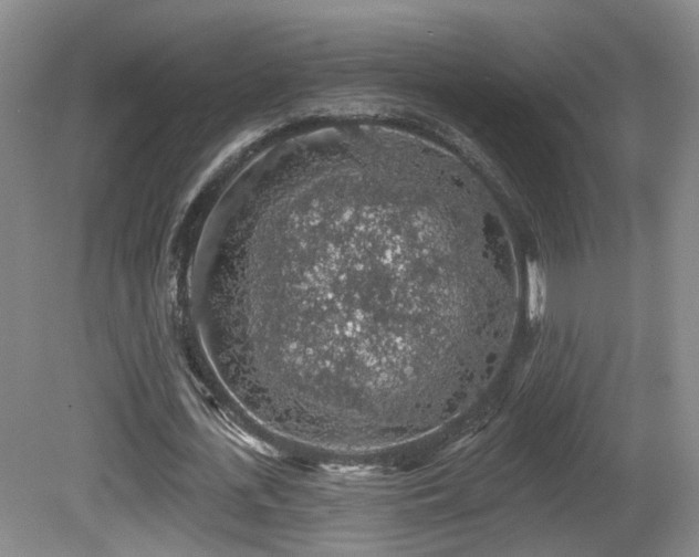 X0000081580723200701151242