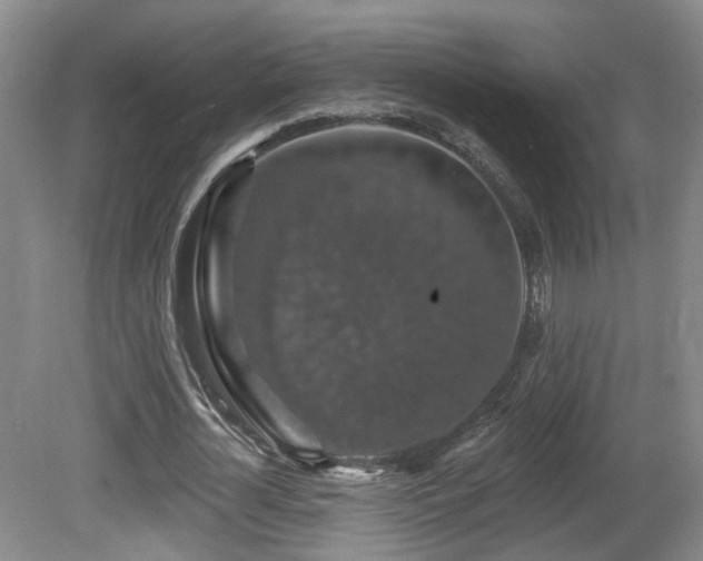 X0000081580724200701151242