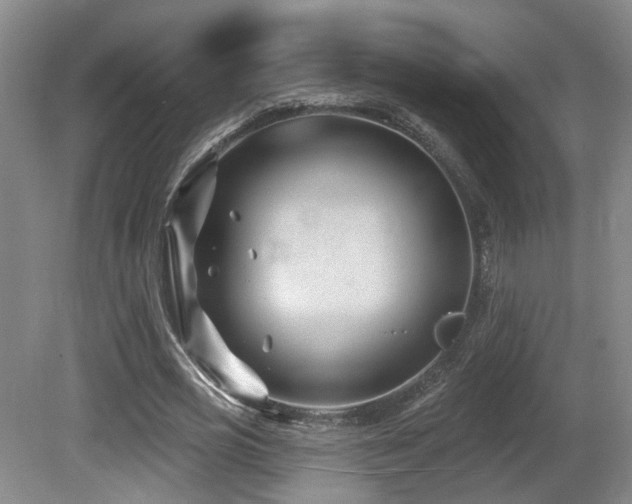 X0000081580725200701151242