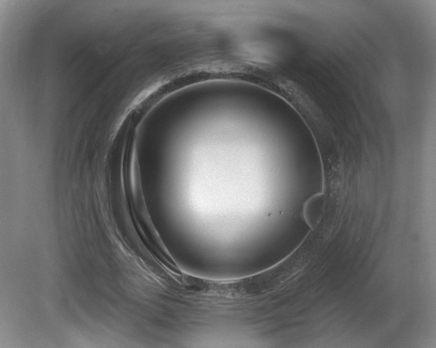 X0000081580727200701151242