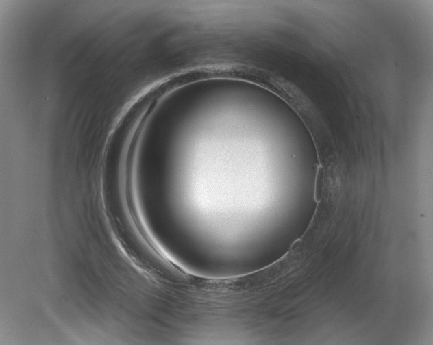 X0000081580728200701151242