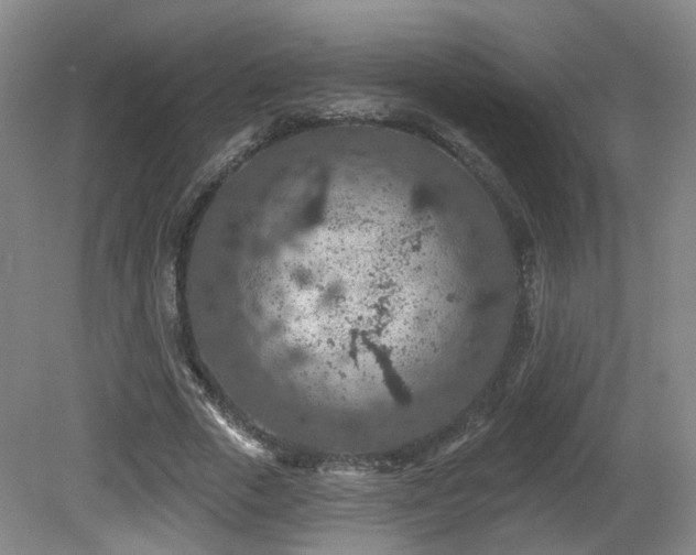 X0000081580729200701151242