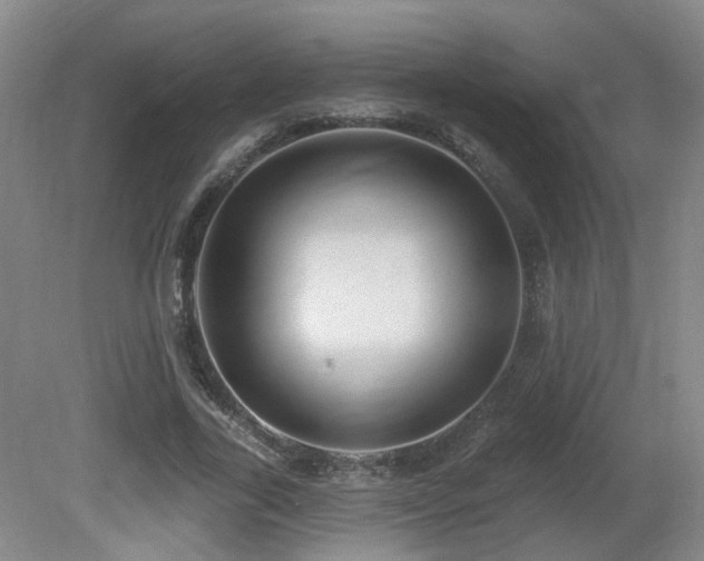 X0000081580731200701151242