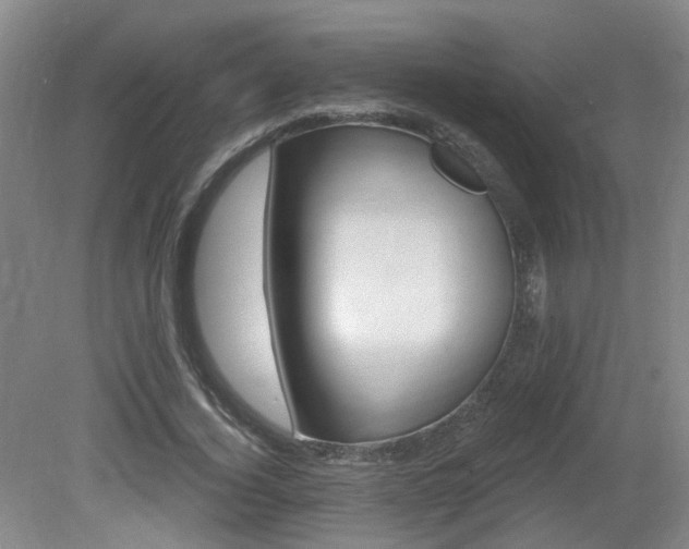 X0000081580732200701151242