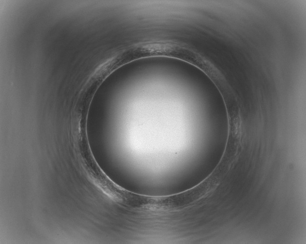 X0000081580733200701151242