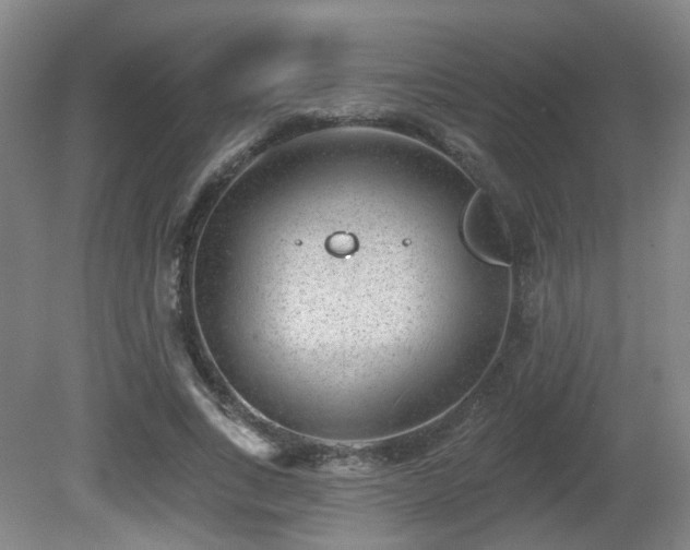 X0000081580735200701151242