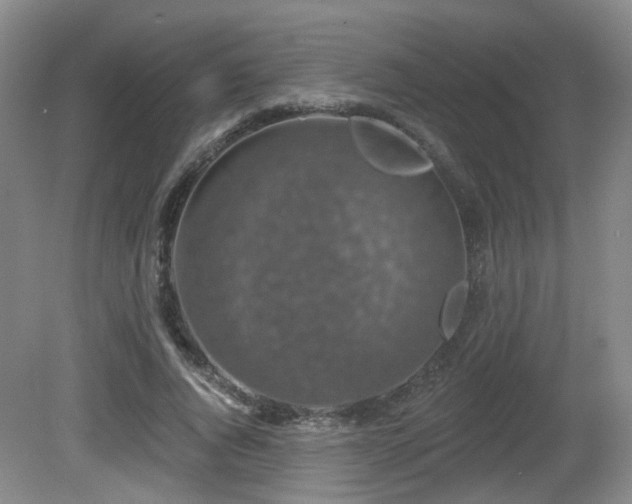 X0000081580736200701151242