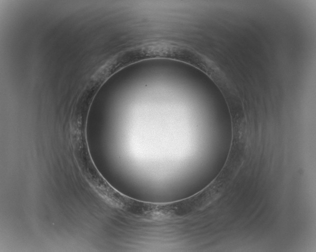 X0000081580737200701151242