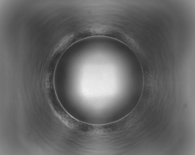 X0000081580738200701151242