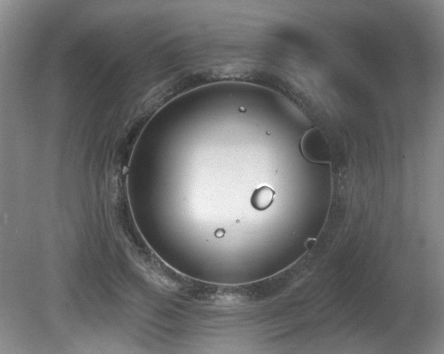 X0000081580741200701151242