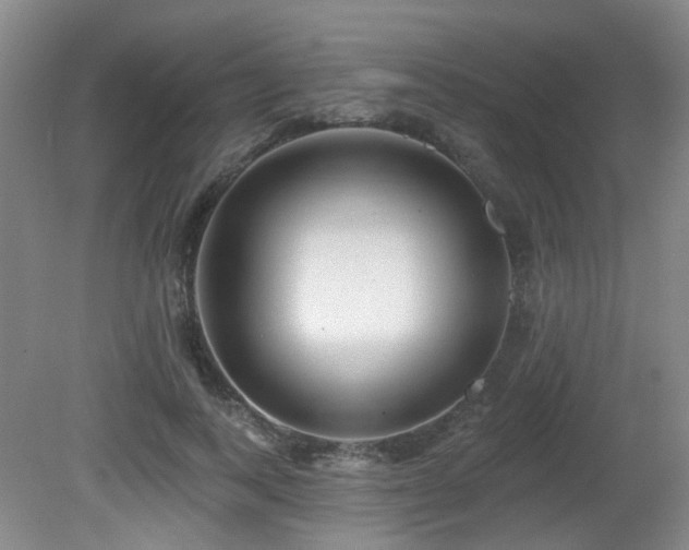 X0000081580743200701151242