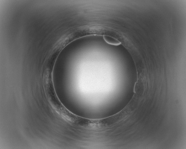 X0000081580744200701151242