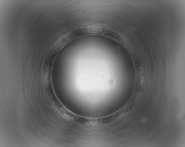 X0000081580745200701151242