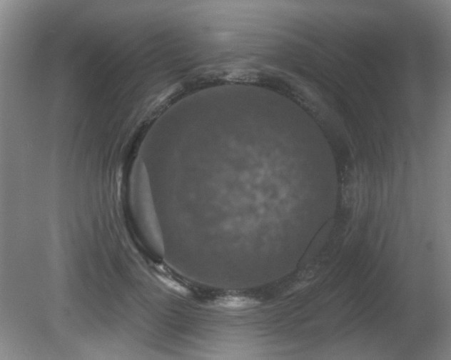 X0000081580748200701151242