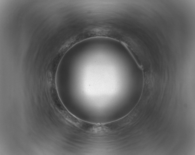 X0000081580752200701151242