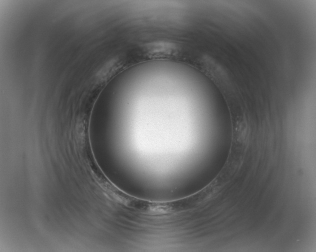 X0000081580753200701151242