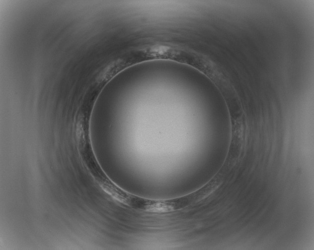 X0000081580754200701151243