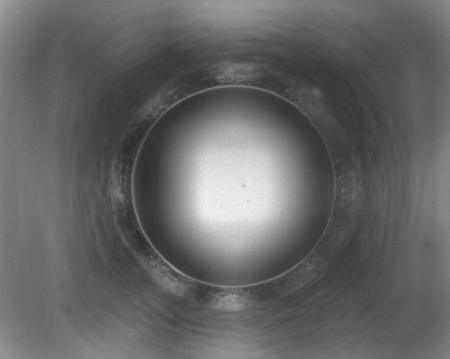 X0000081580755200701151243