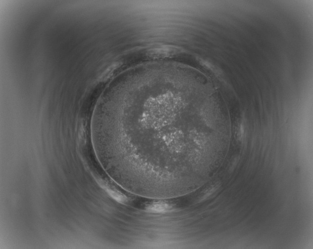 X0000081580759200701151243