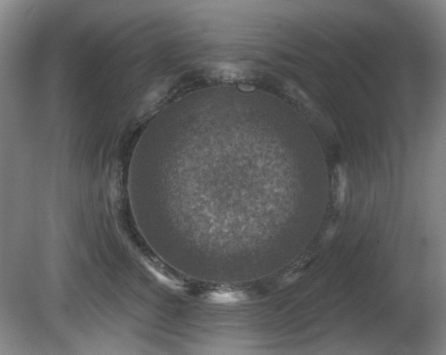 X0000081580760200701151243