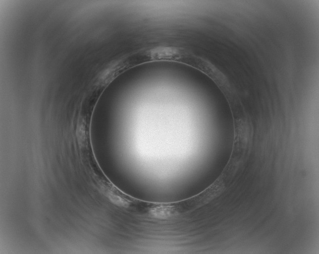 X0000081580761200701151243