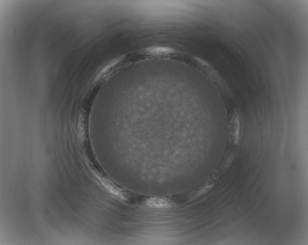 X0000081580762200701151243