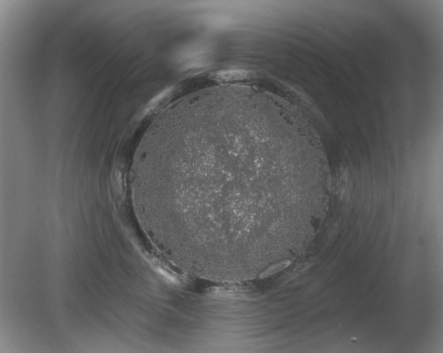 X0000081580763200701151243