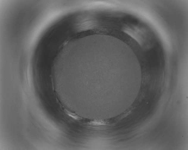 X0000081580765200701151243