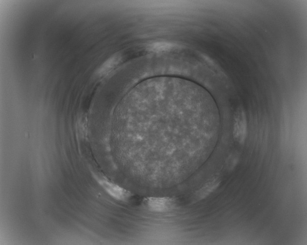 X0000081580766200701151243