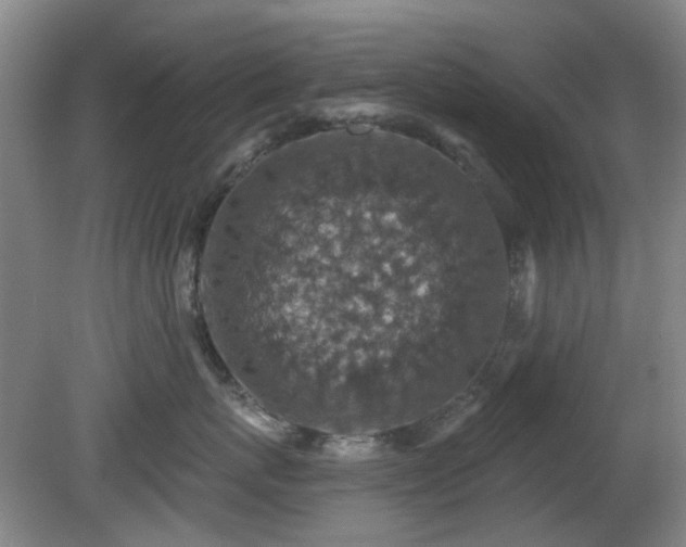 X0000081580767200701151243