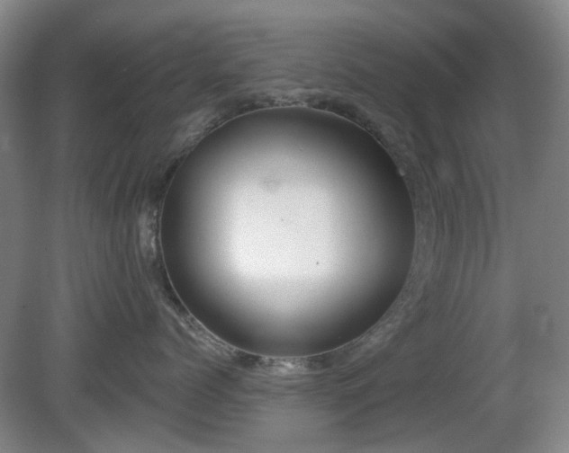 X0000081580768200701151243