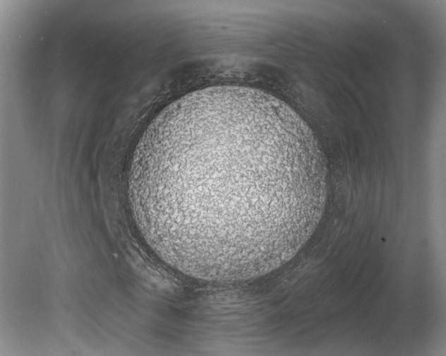 X0000081580769200701151242