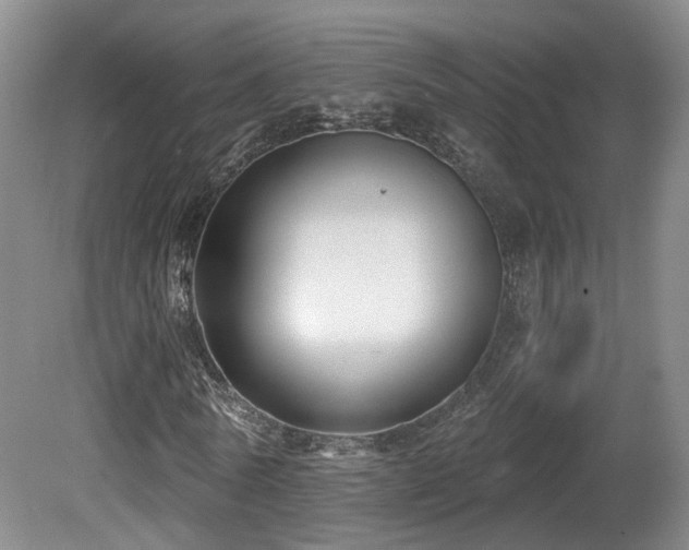 X0000081580770200701151242