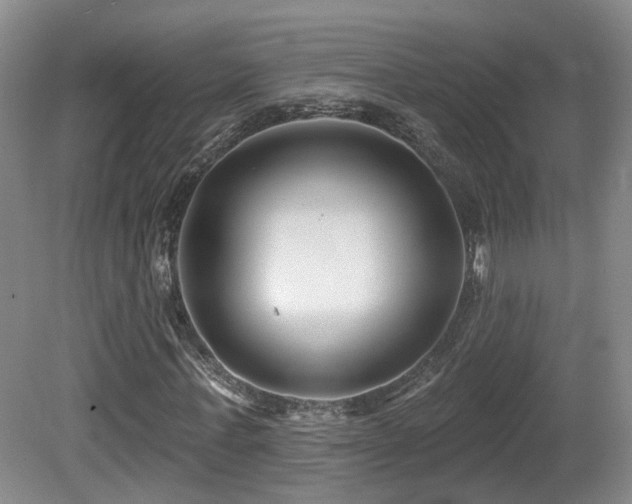 X0000081580771200701151242