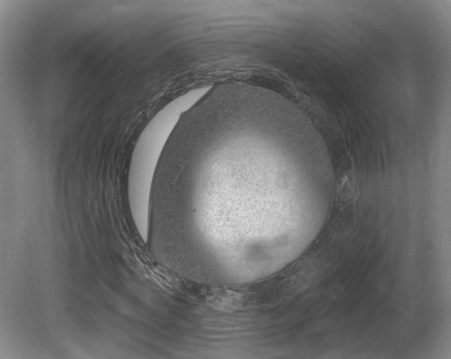 X0000081580772200701151242