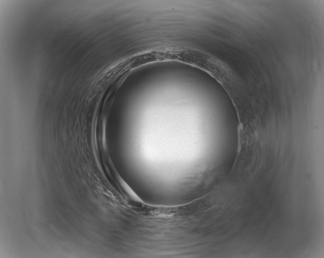 X0000081580773200701151242