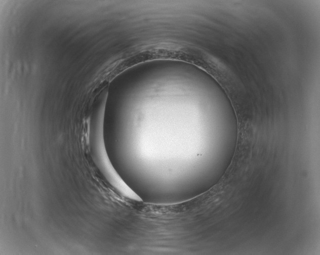 X0000081580774200701151242