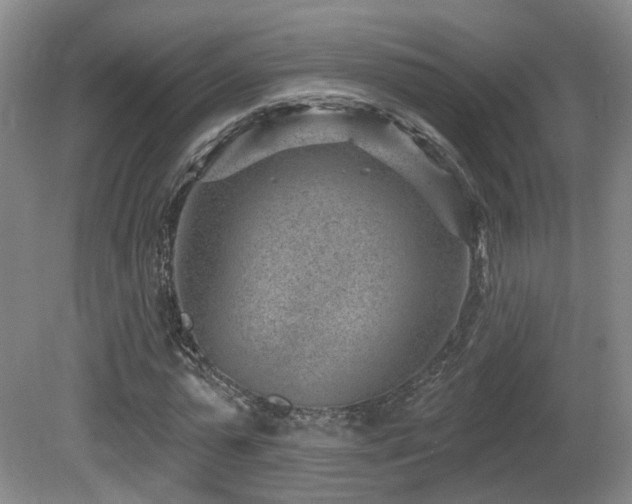 X0000081580775200701151242