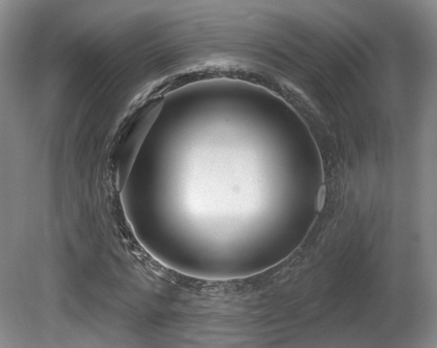 X0000081580776200701151242