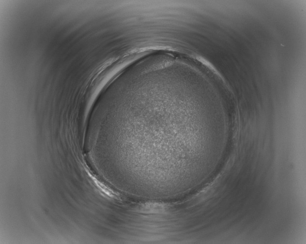 X0000081580777200701151242