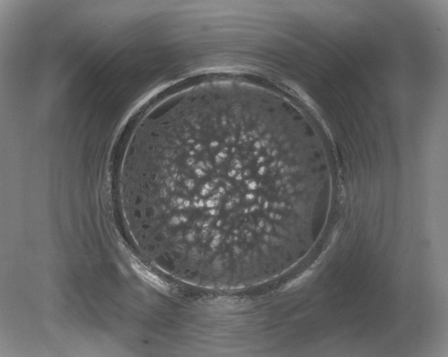 X0000081580779200701151242