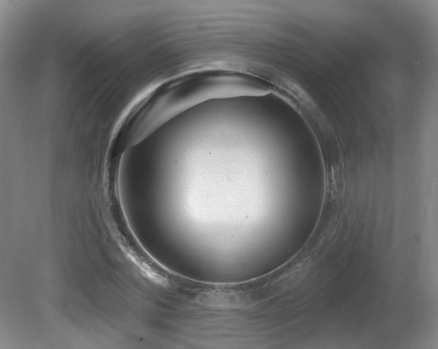 X0000081580780200701151242