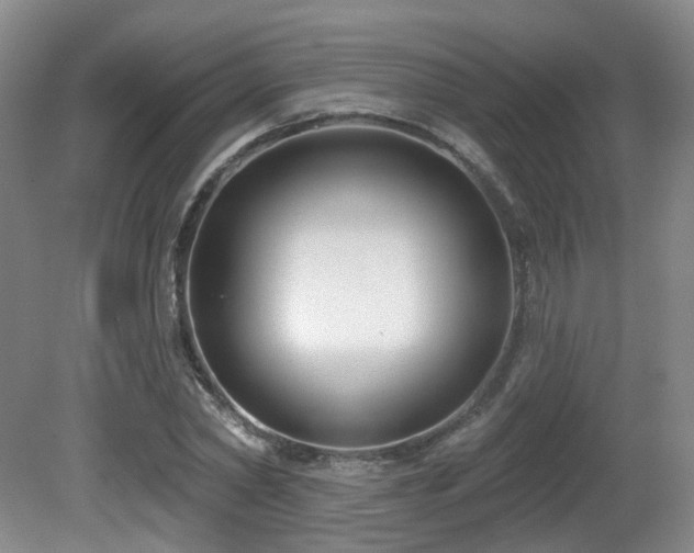 X0000081580782200701151242