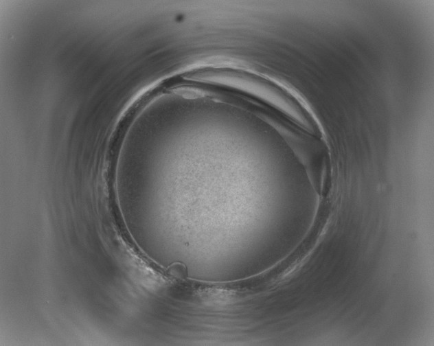 X0000081580783200701151242