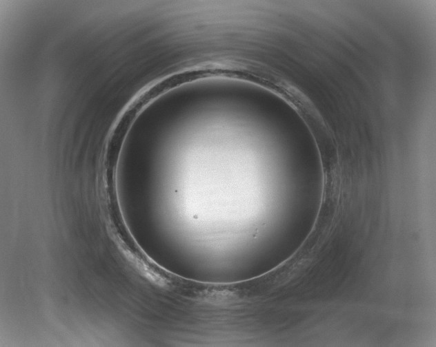 X0000081580784200701151242