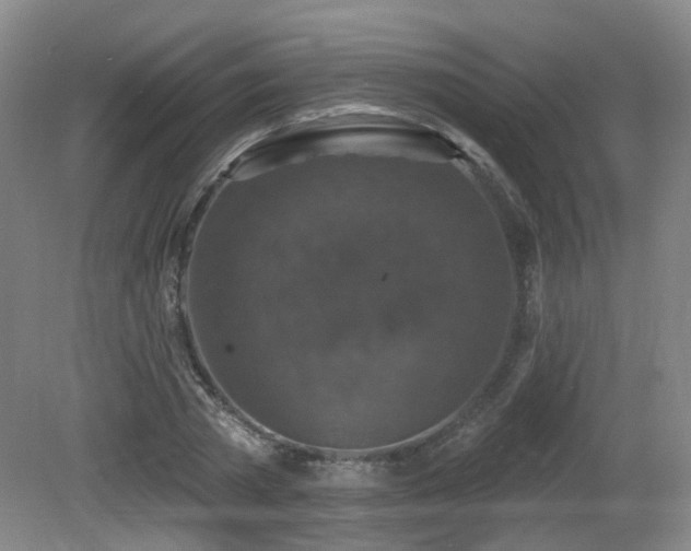 X0000081580785200701151242