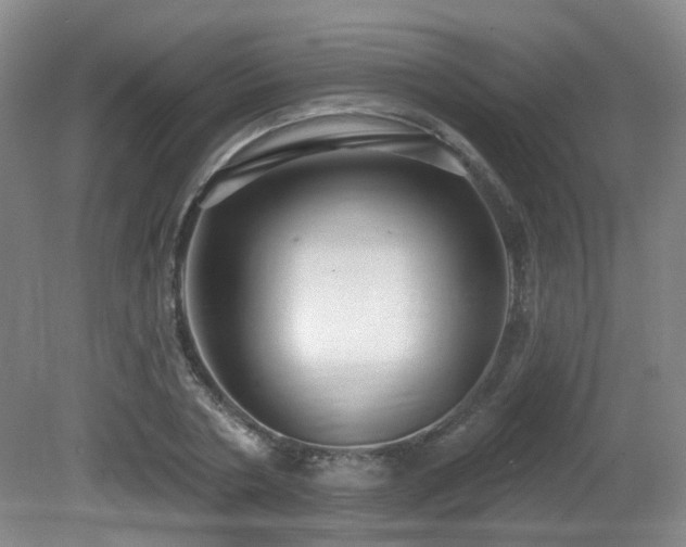 X0000081580786200701151242