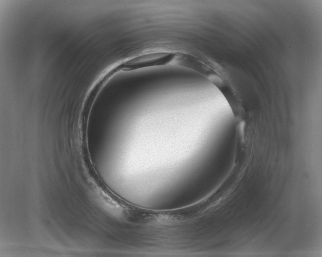 X0000081580787200701151242