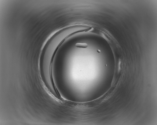 X0000081580788200701151242