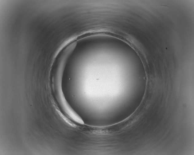 X0000081580789200701151242